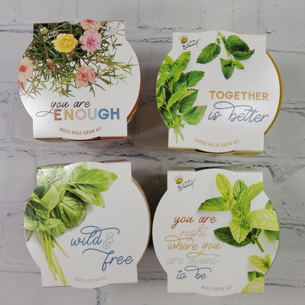 Buzzy Mini Pots For Planting